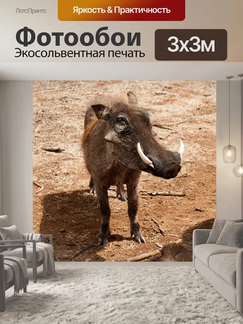 Фотообои Бородавочник