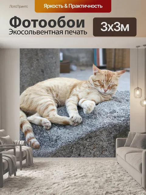 Фотообои Кошка