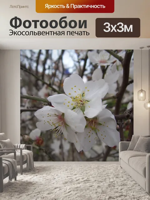 Фотообои Миндаль цветок