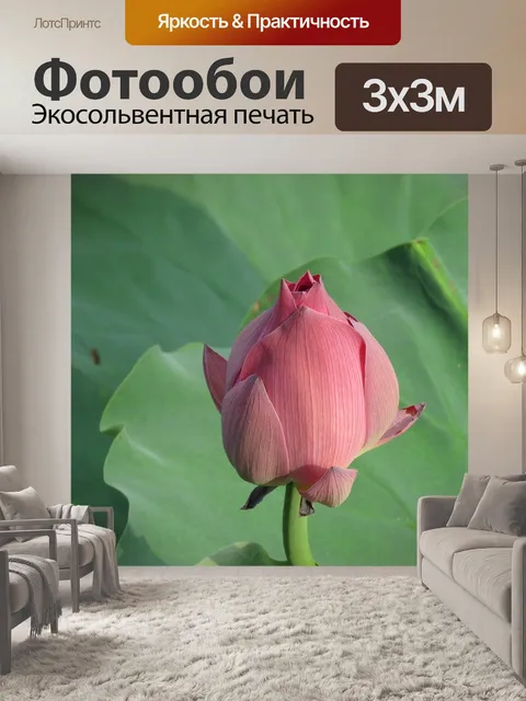 Фотообои Lotus