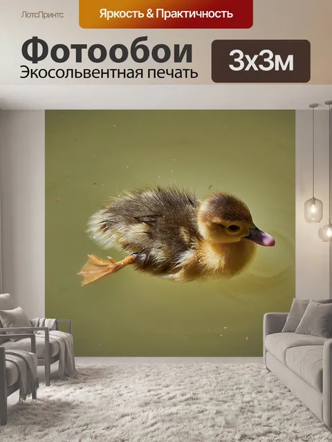 Фотообои Утка