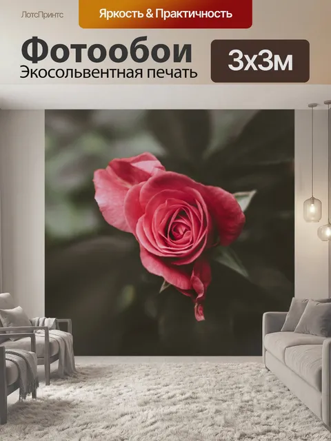 Фотообои Роза