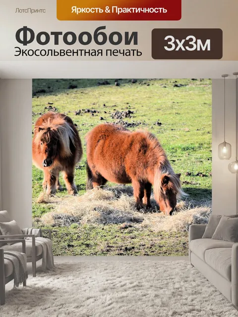 Фотообои 2 пони