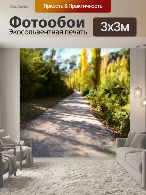 Фотообои Путь
