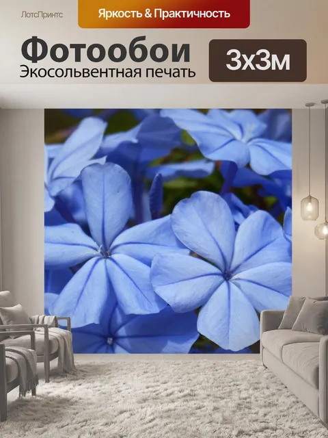 Фотообои Синие цветы