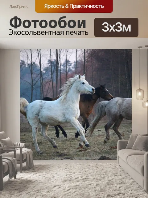Фотообои Лошадь