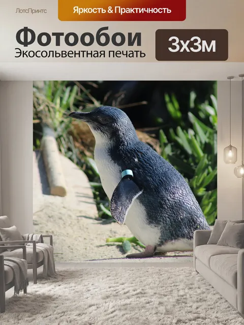 Фотообои Природа