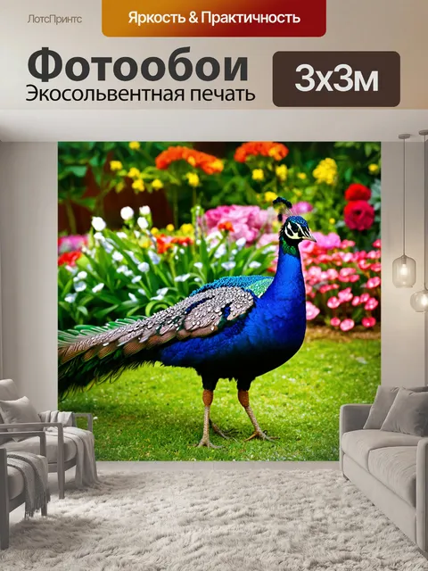 Фотообои павлин, путешествующий по цветущему саду, его перья усыпаны каплями росы