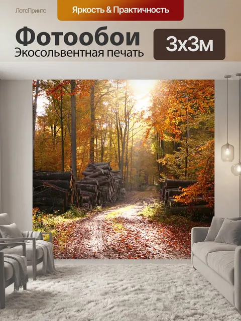 Фотообои Лес