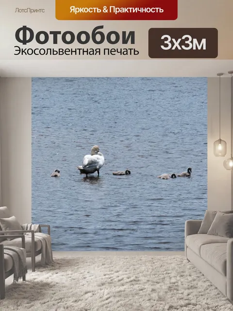 Фотообои Мать-лебедь с ее детенышами