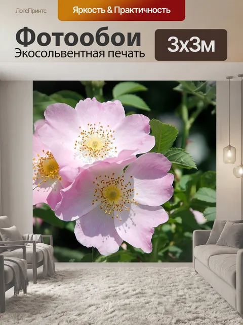 Фотообои Шиповник