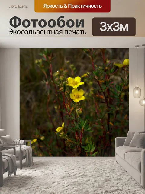 Фотообои Cunninghan луг с желтыми цветами