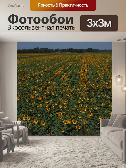 Фотообои Подсолнухи