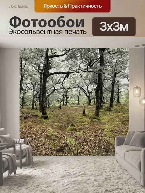 Фотообои Вырубка леса