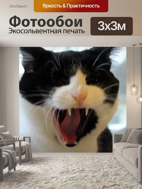 Фотообои зевая смокинг кошки
