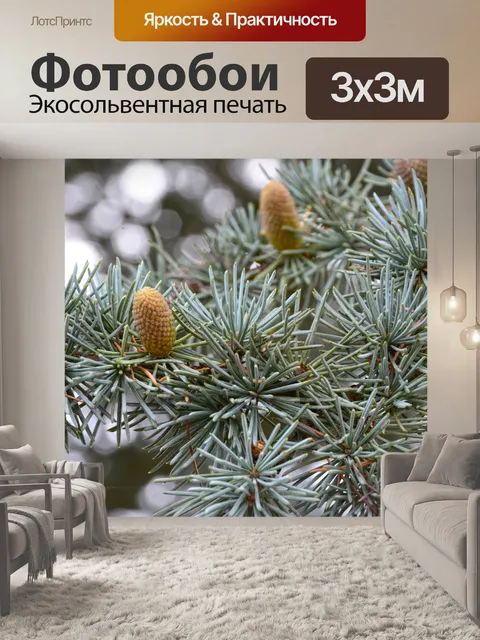 Фотообои Ель