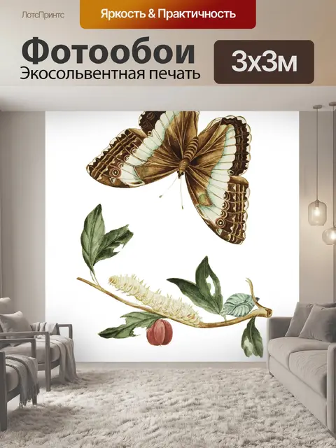 Фотообои Бабочка Гусеница Винтаж Искусство