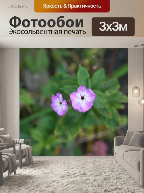 Фотообои Макро