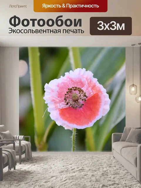 Фотообои Полевые цветы 11