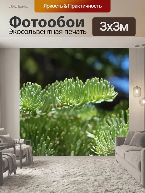 Фотообои Хвойного