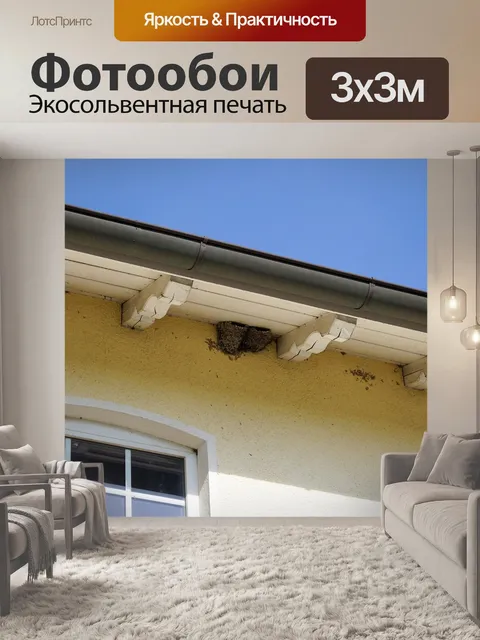 Фотообои Ласточкино гнездо