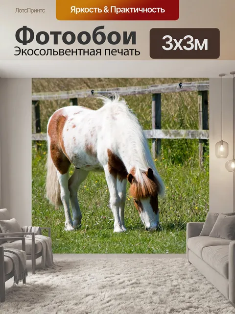 Фотообои Выпаса лошадей
