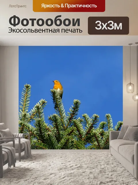 Фотообои Птица