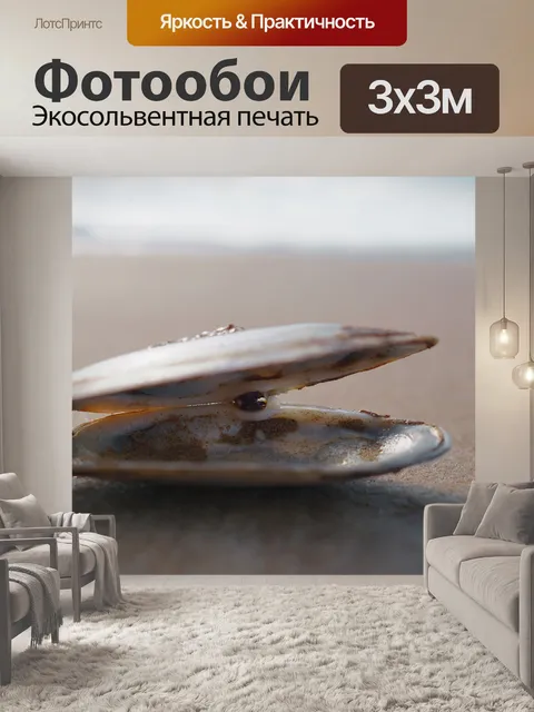 Фотообои морская ракушка