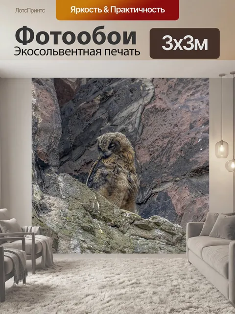 Фотообои Птицы