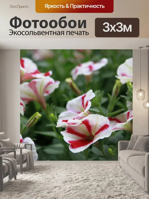 Фотообои Цветы