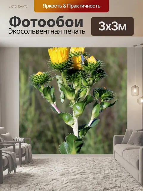 Фотообои Восковые дикие цветы