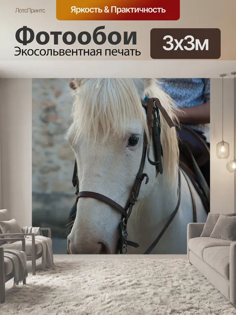 Фотообои Всадник