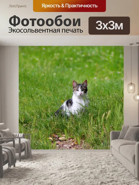 Фотообои Кошка