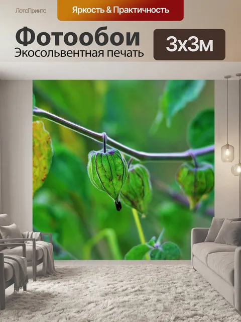 Фотообои мыс крыжовник фрукты