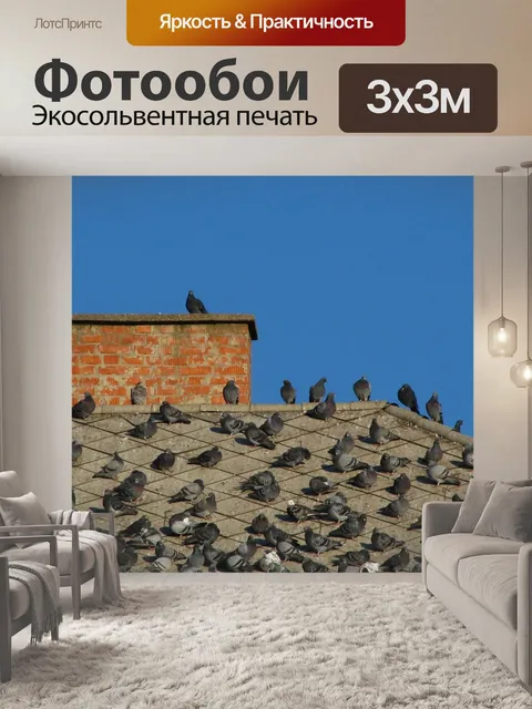 Фотообои Голуби