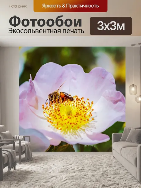 Фотообои Плетистая роза