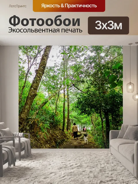 Фотообои Тропическое дерево на северо-востоке