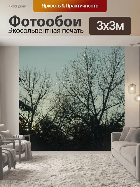 Фотообои Деревья