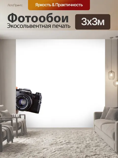 Фотообои Камера в руке