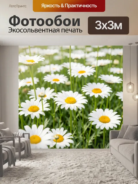 Фотообои Ромашковое поле в цветении