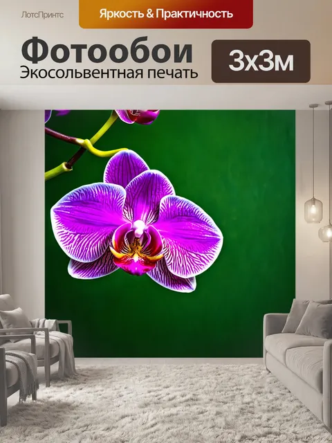 Фотообои орхидея с яркими декоративными элементами вокруг