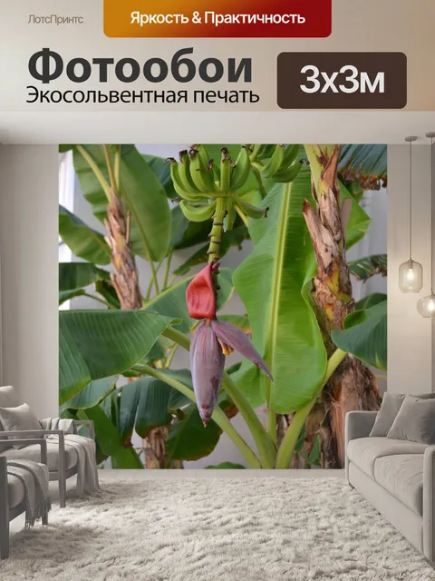 Фотообои дерево