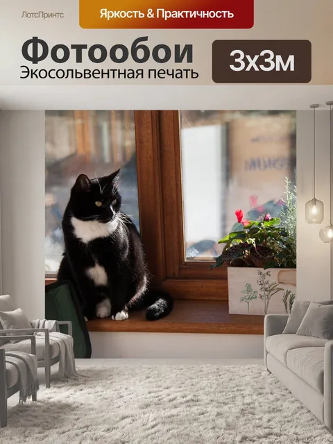 Фотообои Кошка