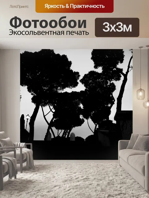 Фотообои Парк