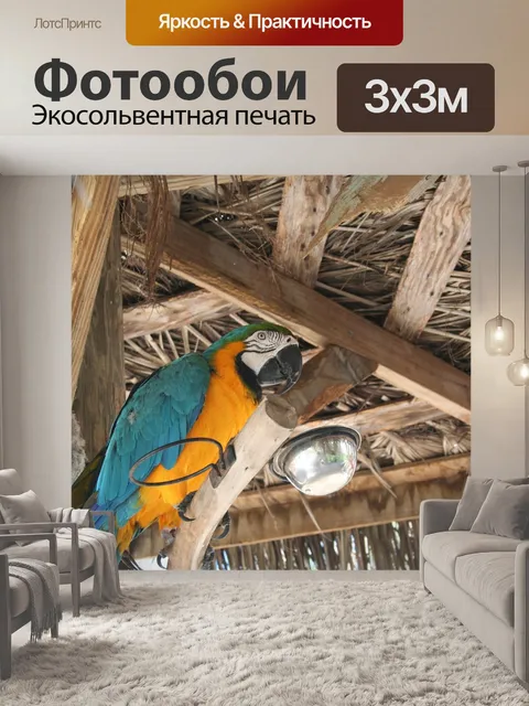 Фотообои Птица