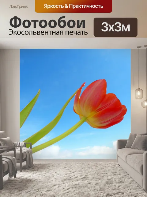 Фотообои Тюльпан
