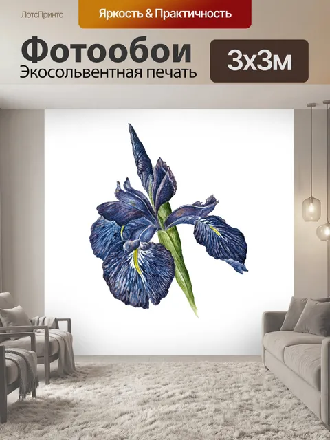Фотообои Клипарт Iris bloom flower