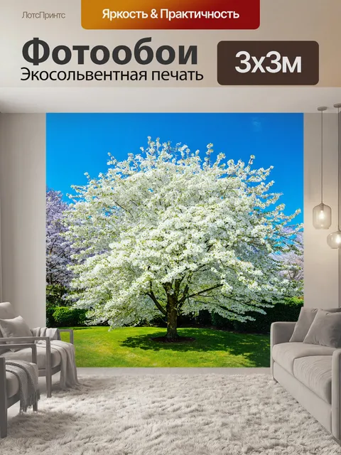 Фотообои белое дерево в цветущем саду весной