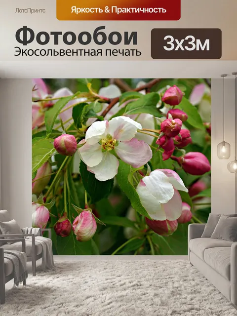 Фотообои Цветение яблони