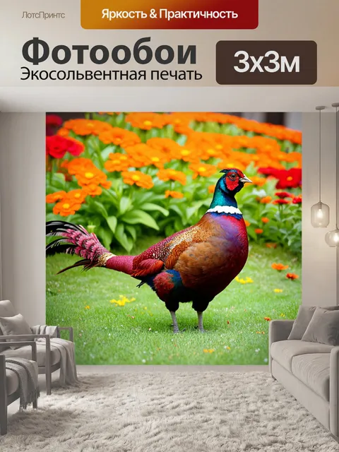 Фотообои животные в стиле минимализм с изображением фазана на фоне ярких цветов